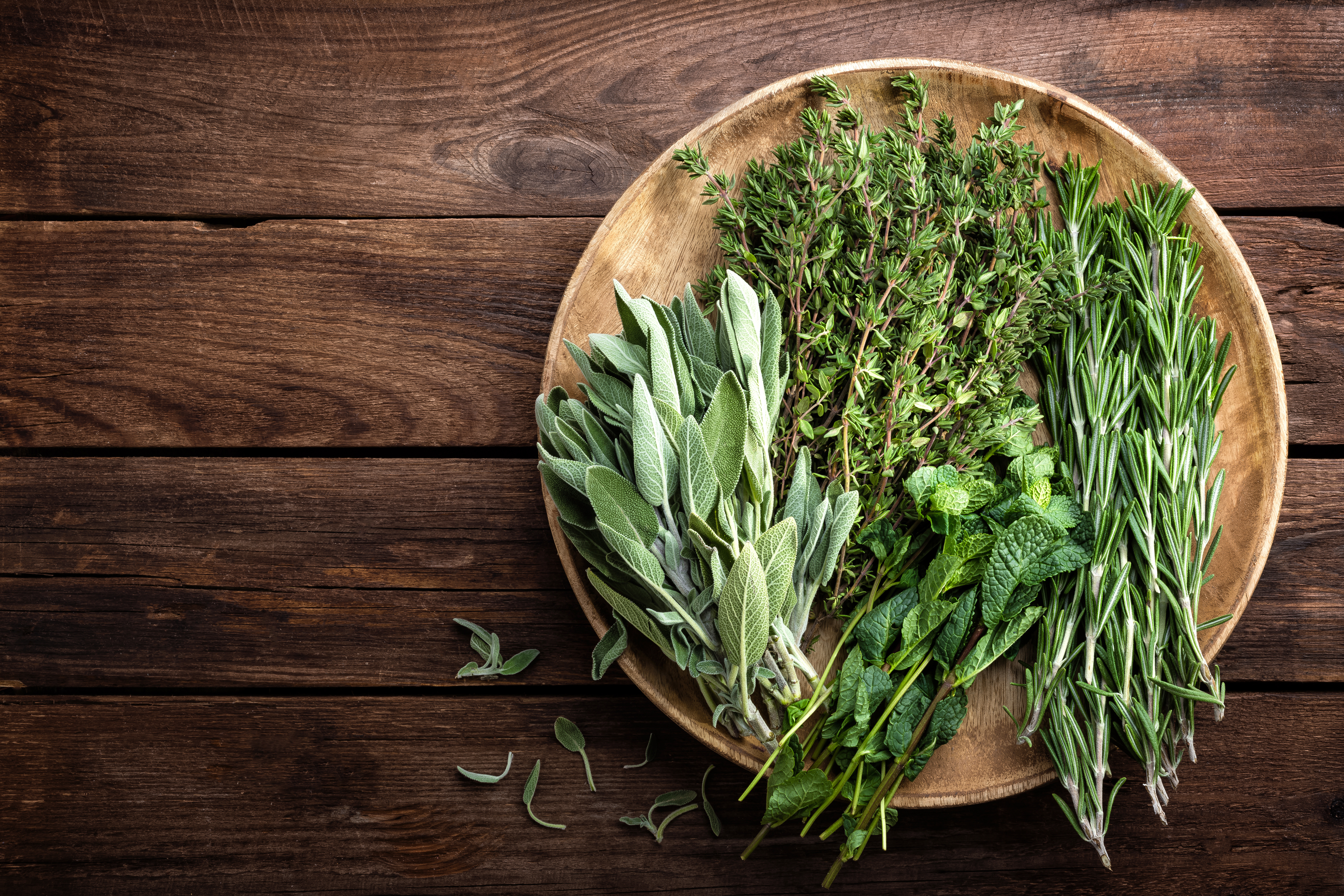 various fresh herbs, rosemary, thyme, mint and sage on wooden background