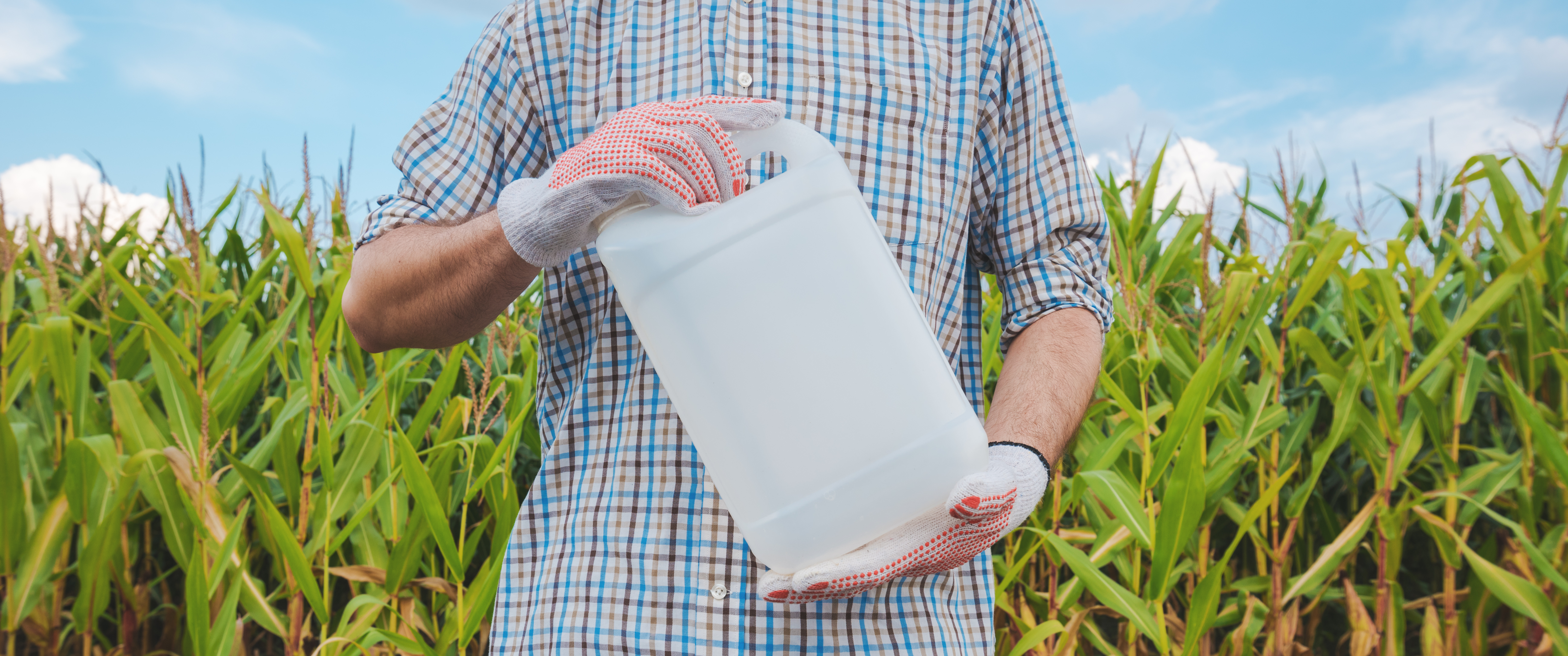 Farmer holding pesticide chemical jug in cornfield