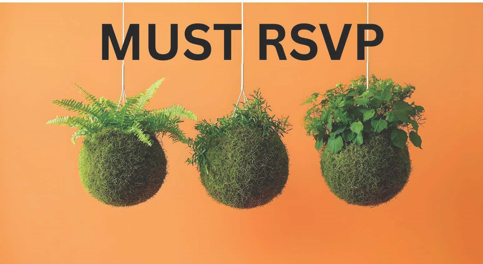Three Hanging Kokedama Sphere Plants With Varied Greenery