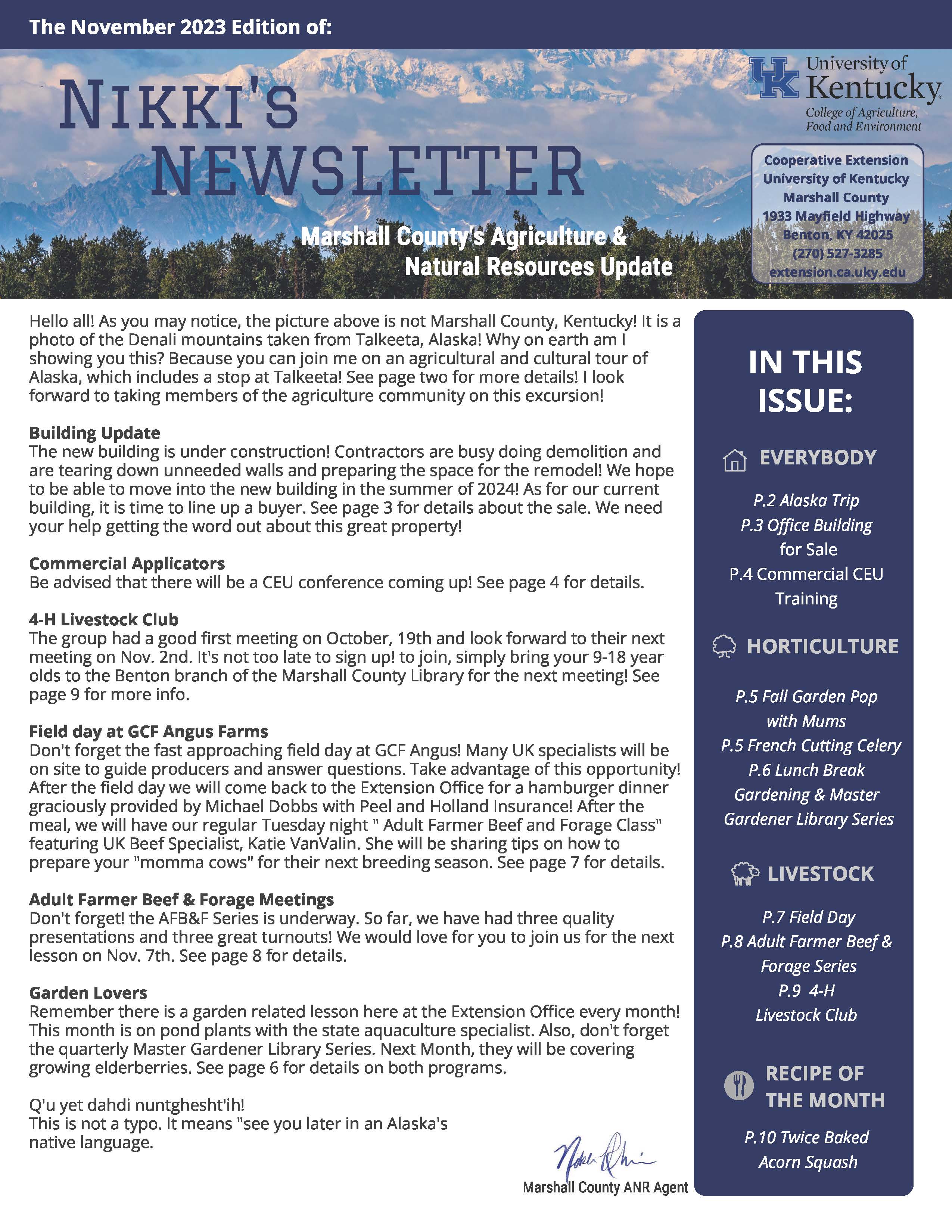 Newsletter with Alaskan Skyline