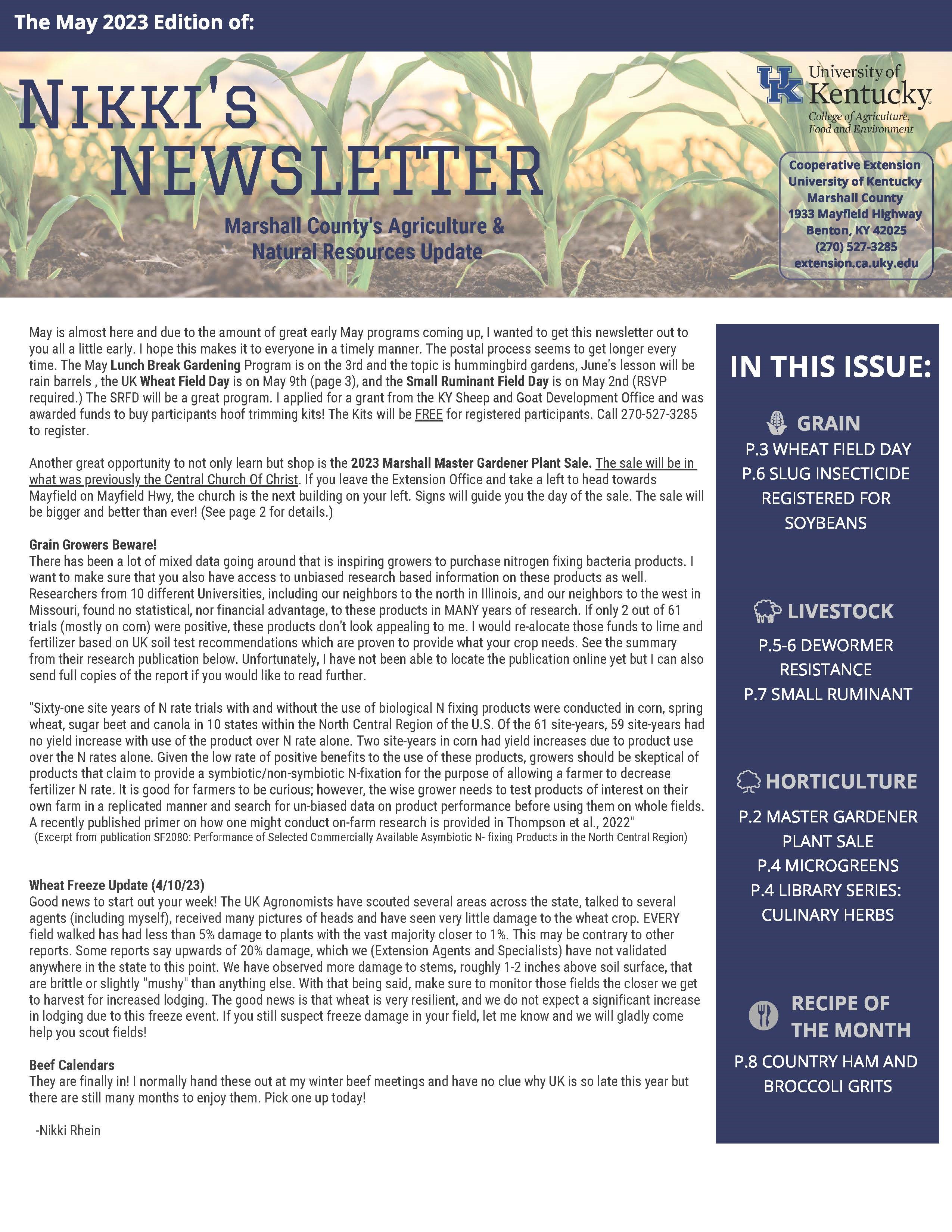 Newsletter with rows of corn 