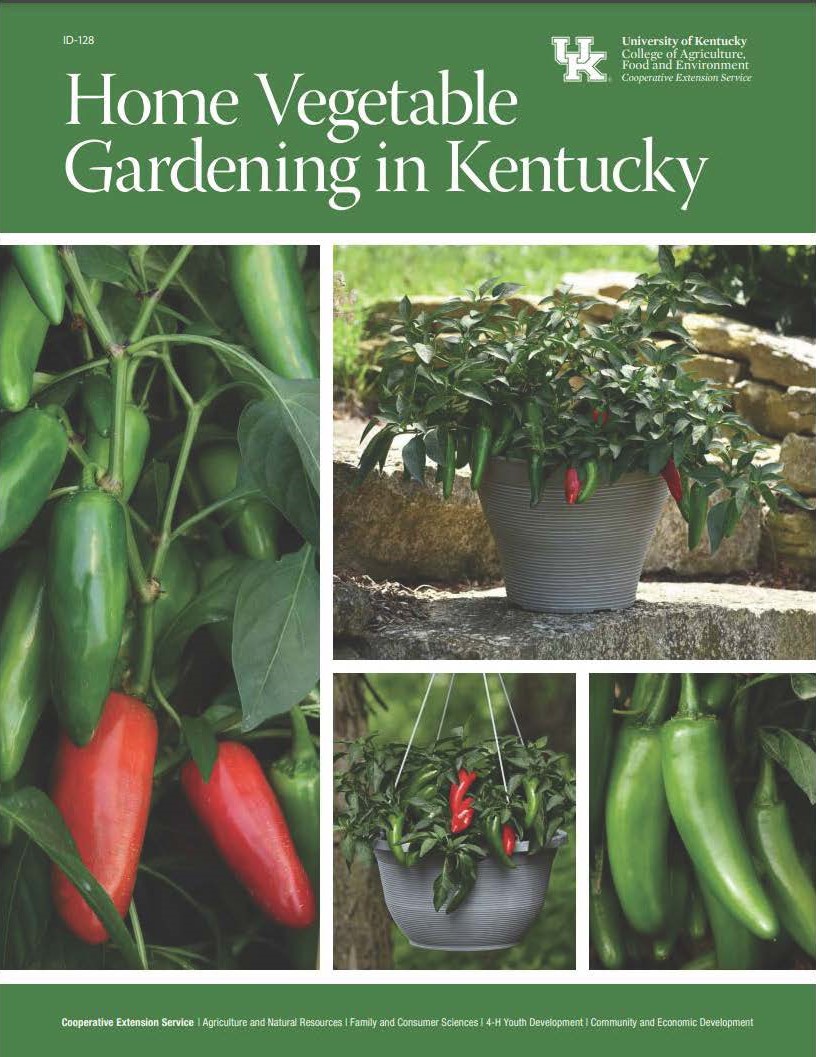Vegetable Gardening manual with a variety of colorful vegetables on cover