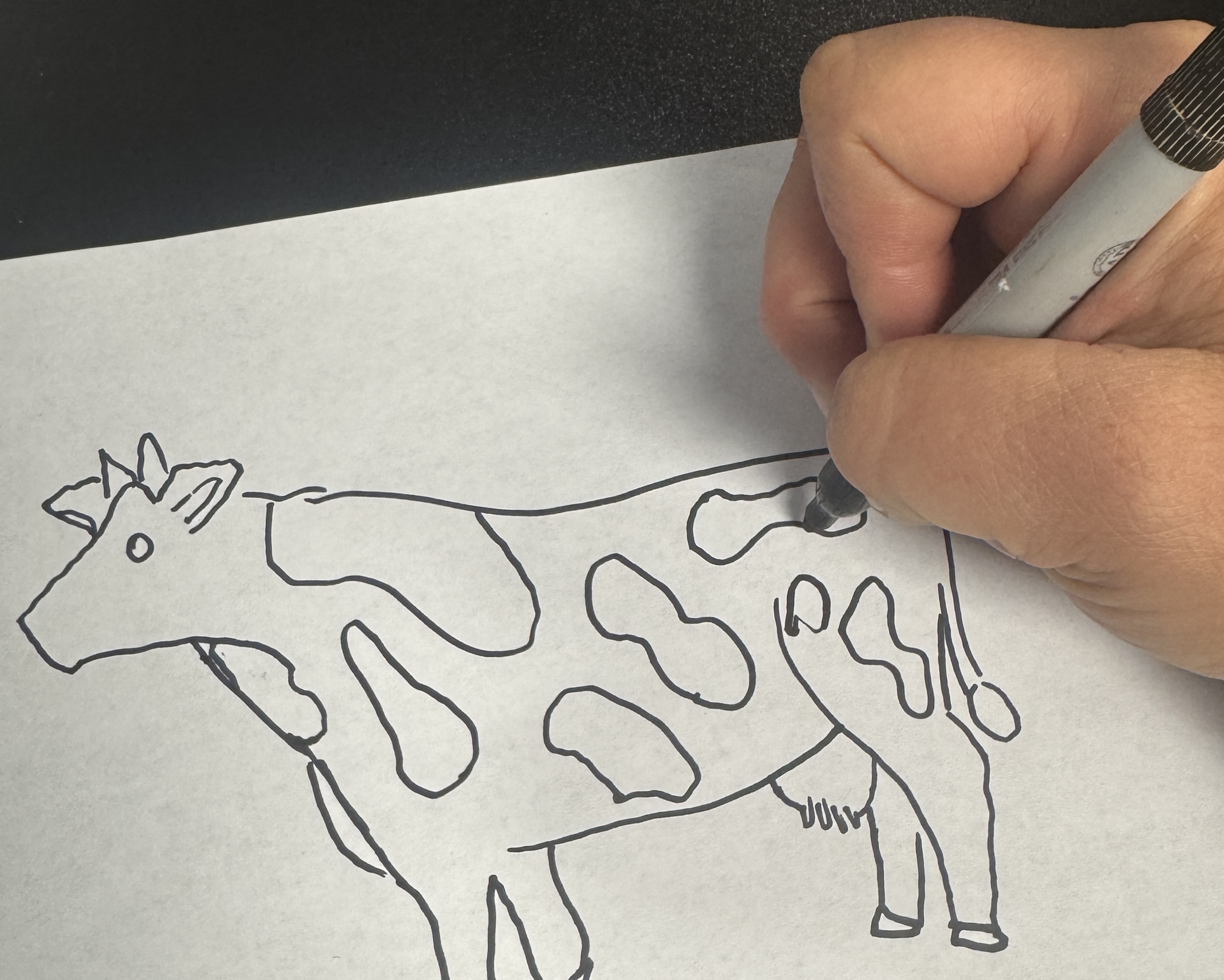 cow coloring 