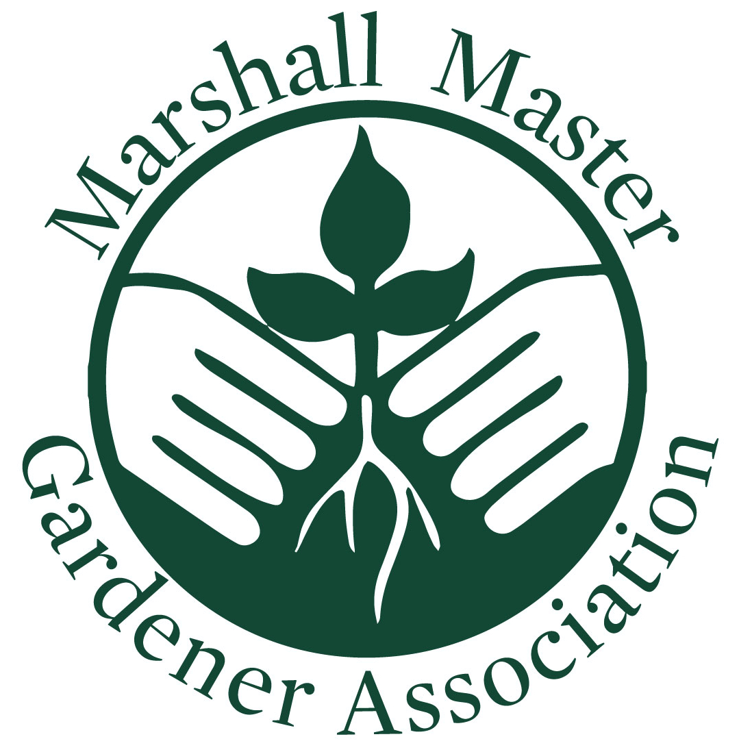 MG Logo