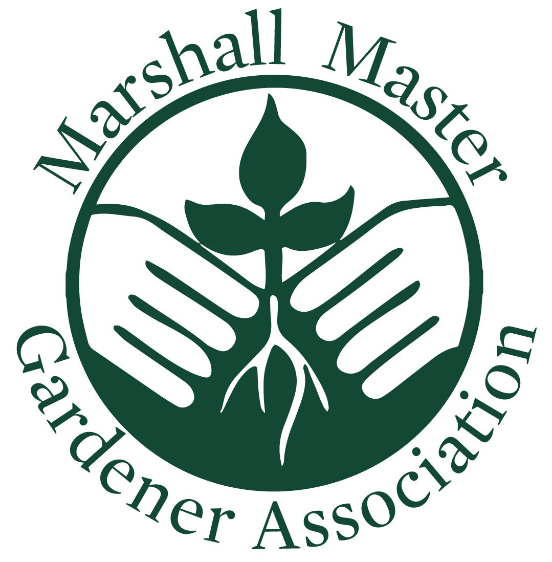 hands holding a plant Master Gardener Logo
