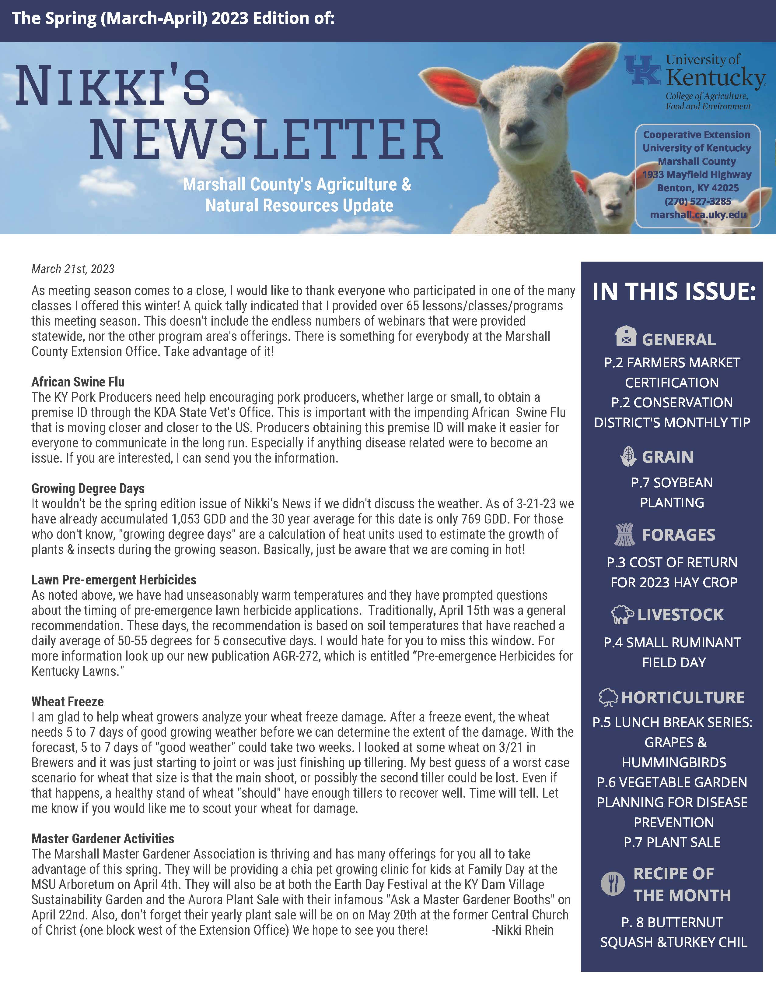 Newsletter with sheep