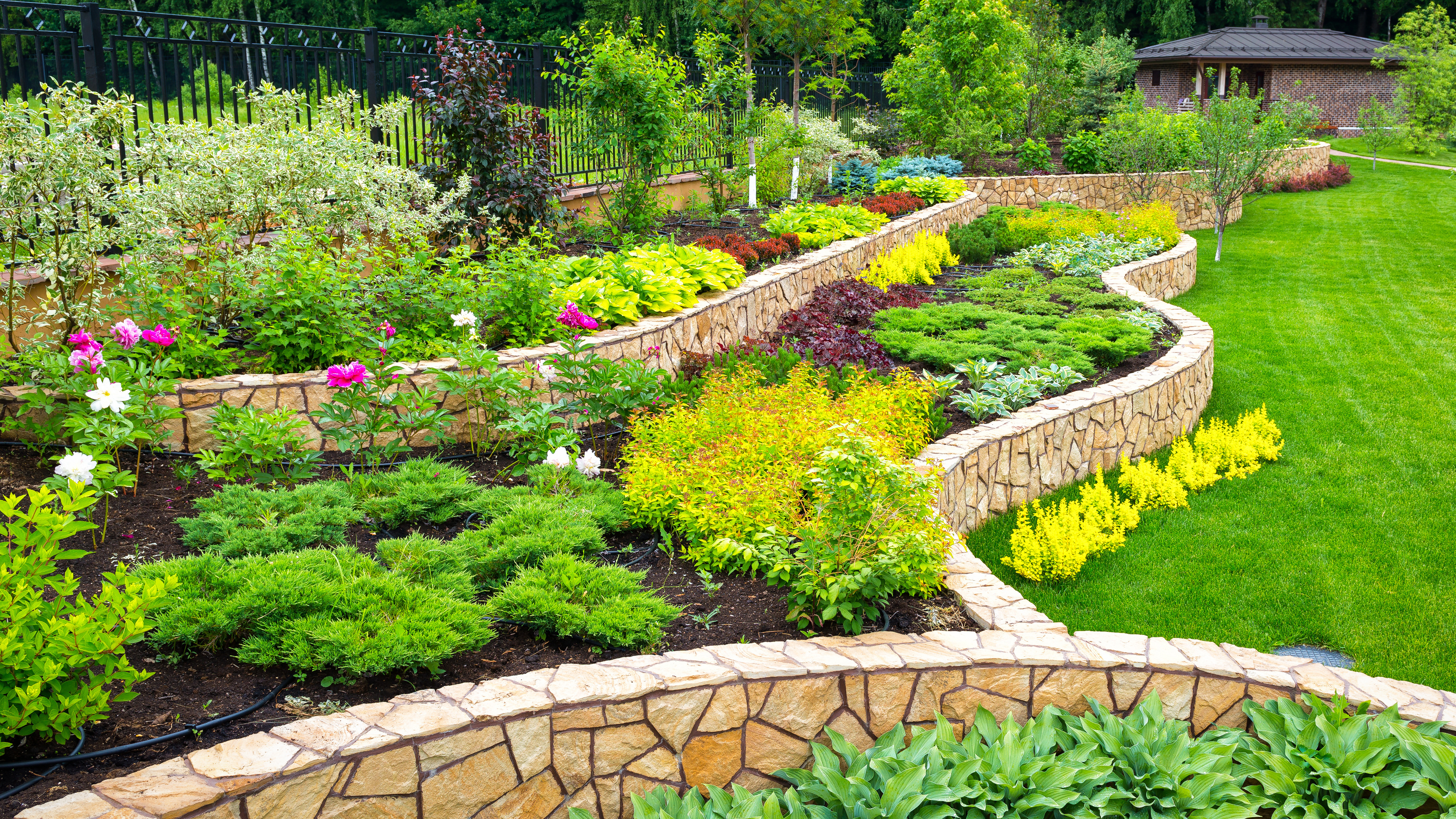 Landscaping panorama of home garden. Landscape design with plants, flowers and stone in backyard.
