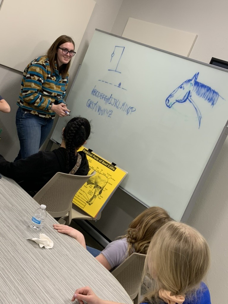 children learning about the anatomy of Livestock