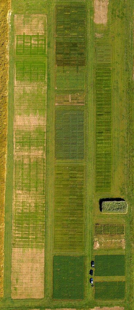 aerial view of grass plots