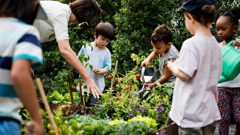 Teacher and kids school learning ecology gardening