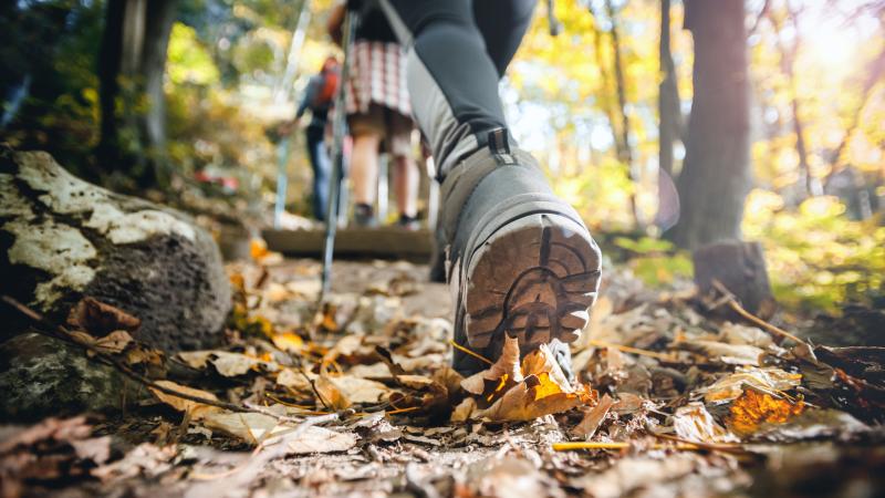 Hiker woman with trekking sticks climbs steep on mountain trail, focus on boot 