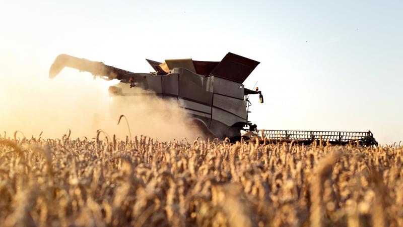 Rear view of a combine harvesting a wheat field